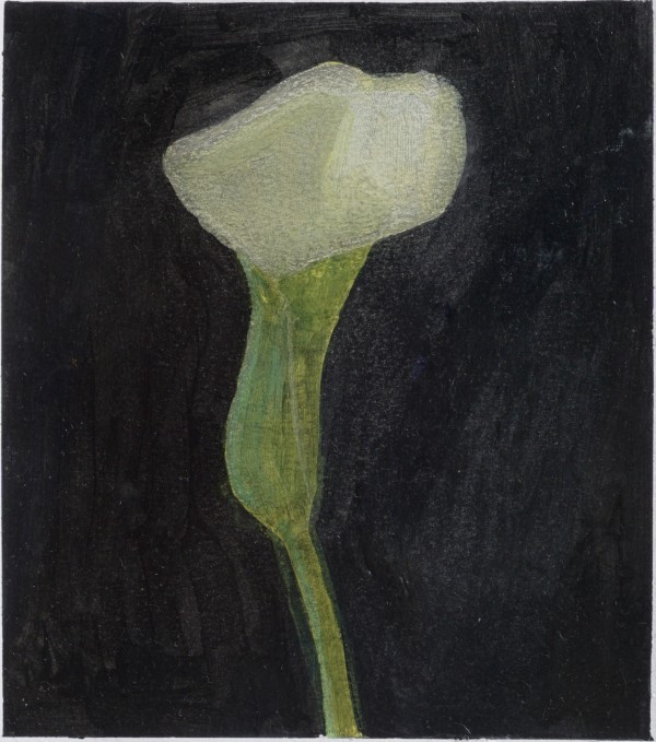 Calla Lily Study 3 by John Beerman