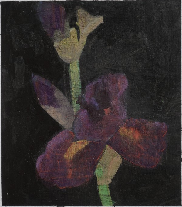 Purple Flower Study 1 by John Beerman