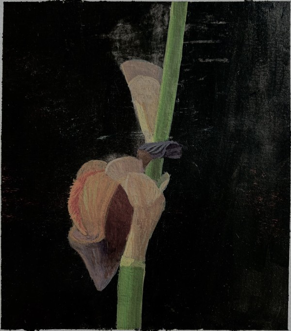 Purple Flower Study 3 by John Beerman