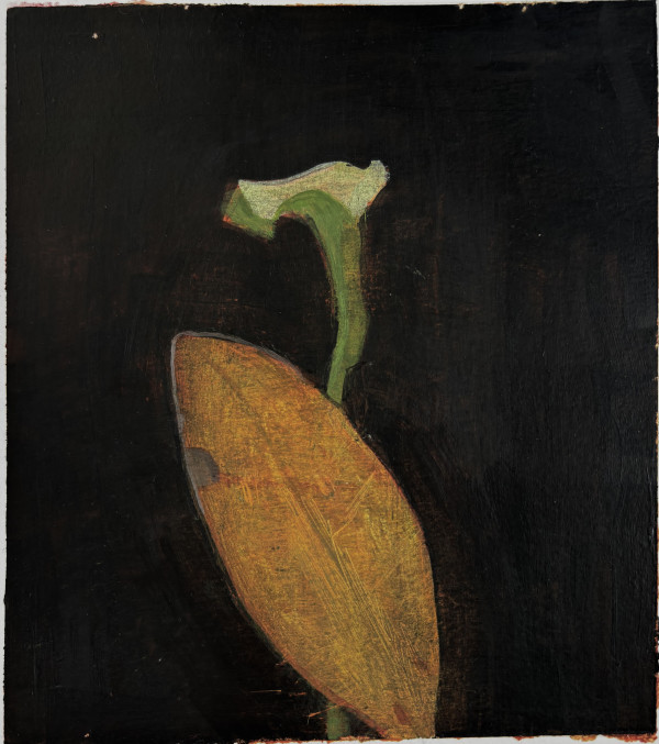 Calla Lily and Leaf Study by John Beerman