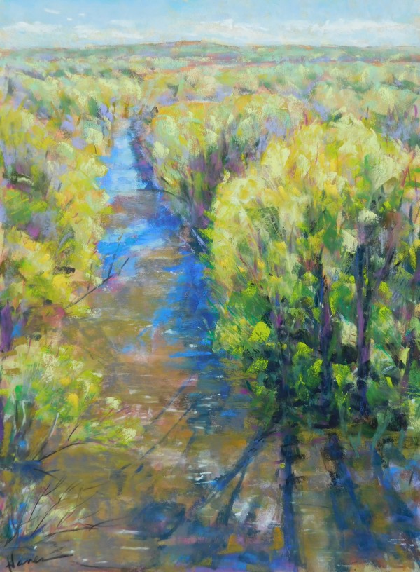 View from the High Bridge in Spring by Hope Hanes