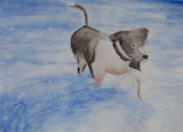 169. Marley by Gabriela DeJohn, Image 1.