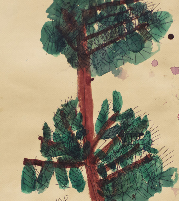 Evergreen Tree by Anna Price