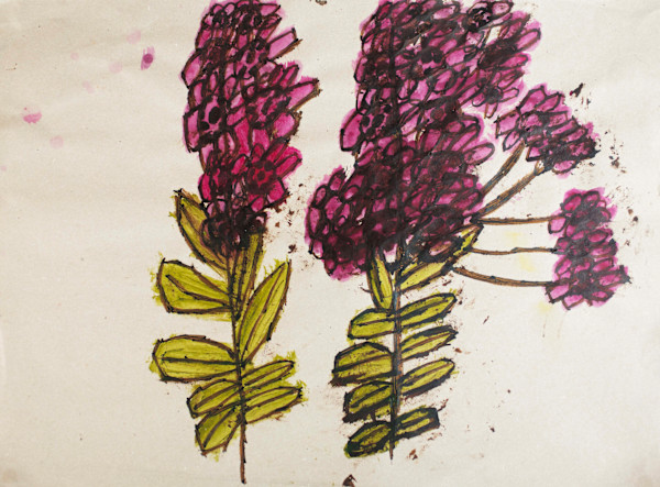 Pink Cherry Blossoms by Anna Price