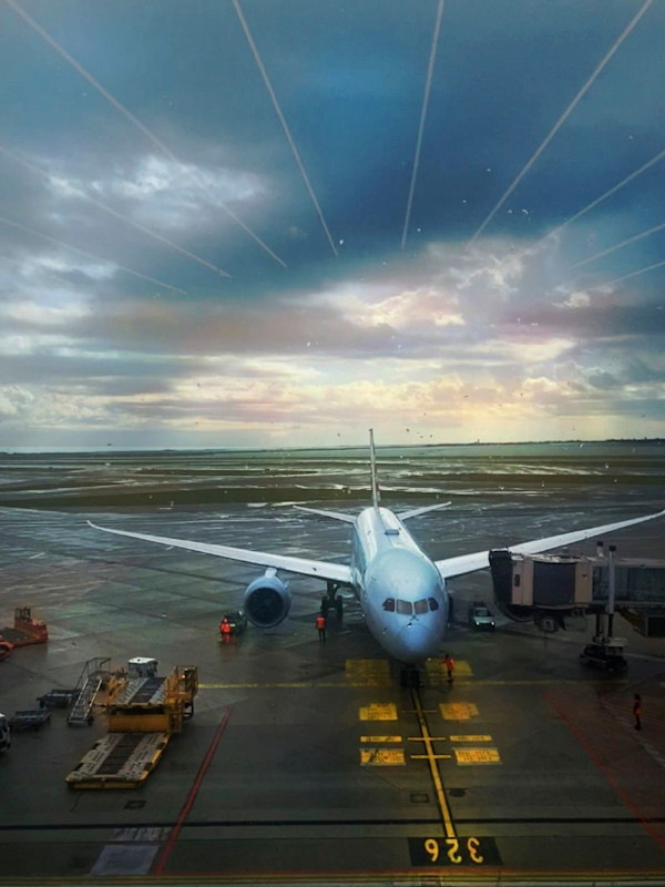 Awaiting Plane Homeward by Annie Bates-Winship