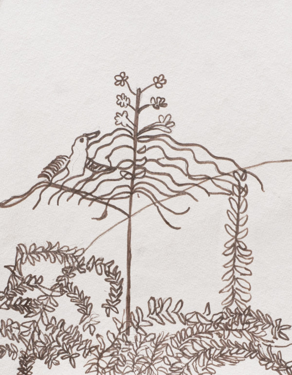 Bird on the Branch by Sheri McSweeney