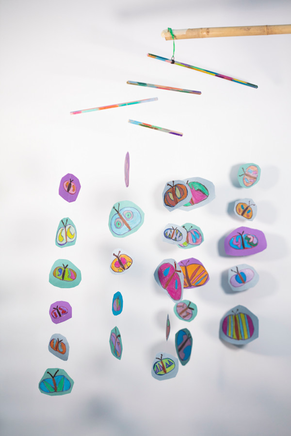 Butterflies by Cindy Johnson