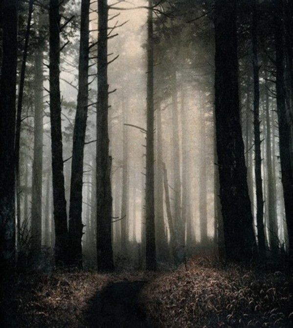 Sky Trail by Dana Christensen