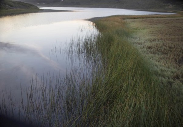 Rodeo Beach Lagoon by Dana Christensen