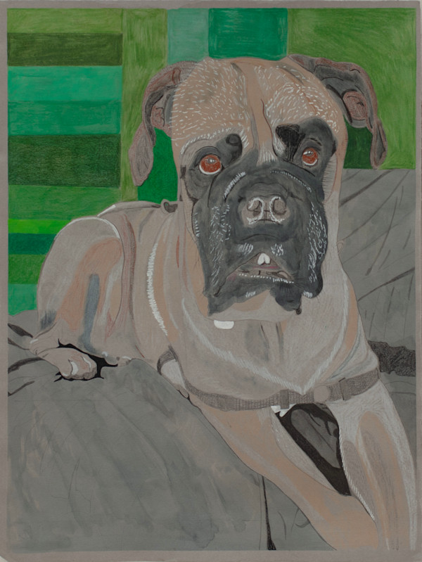 Dog by Darwin Lawson