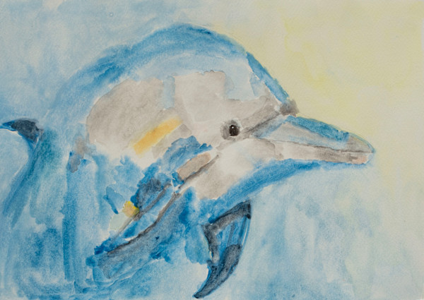 Dolphin by Debbie Wann