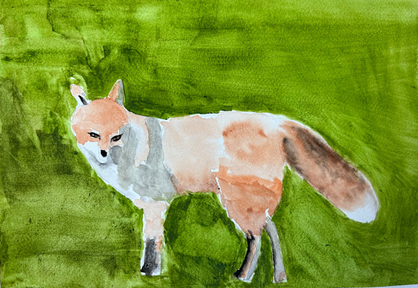Fox by Debbie Wann