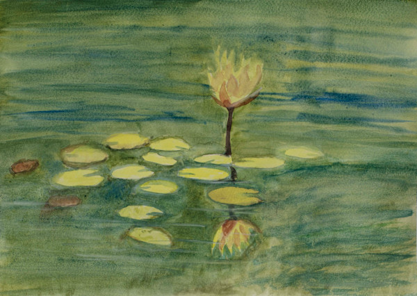 Reflections of Lily by Debbie Wann