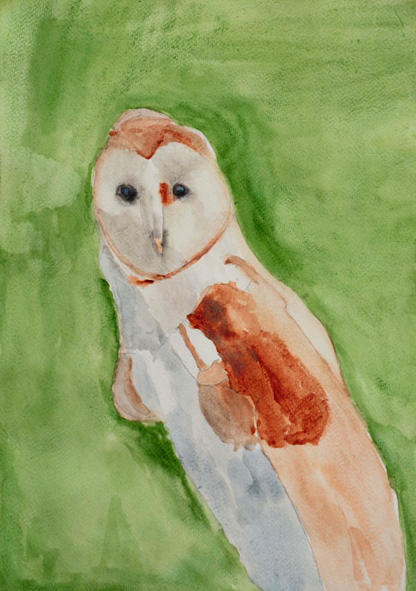 White Owl by Debbie Wann