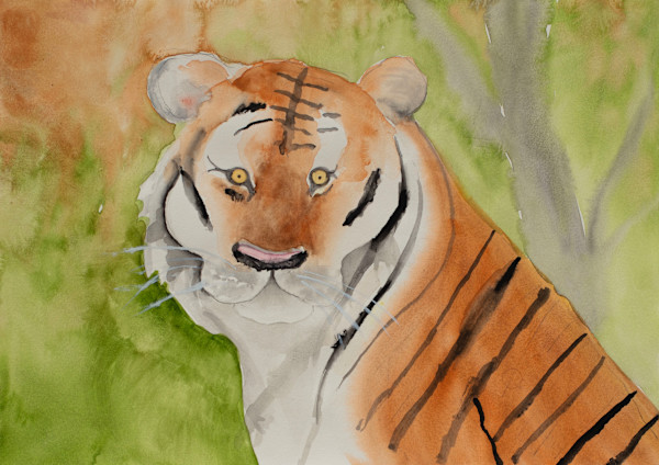 Tiger by Debbie Wann