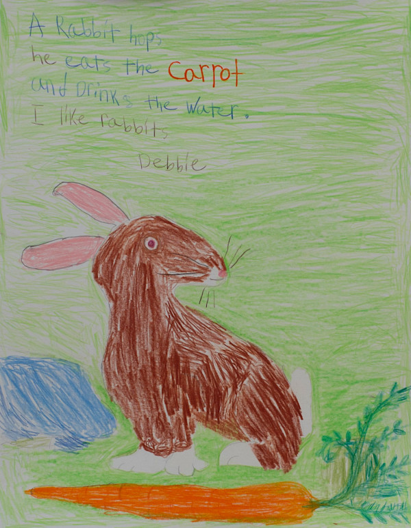 Rabbit & Carrot by Rachel Carlin