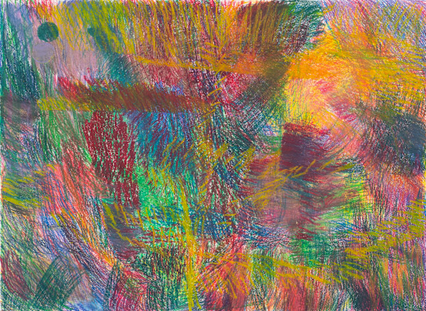 Forest of Color by Elliot  Jung