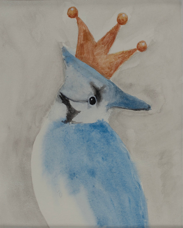 Blue Jay by Gabriela  DeJohn