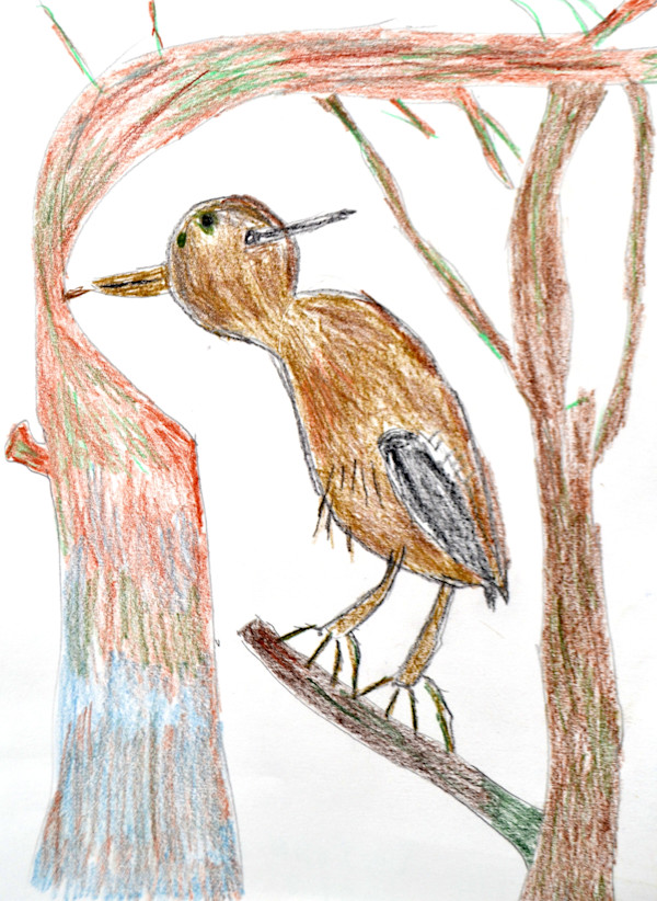 Woodpecker by Gabriela  DeJohn