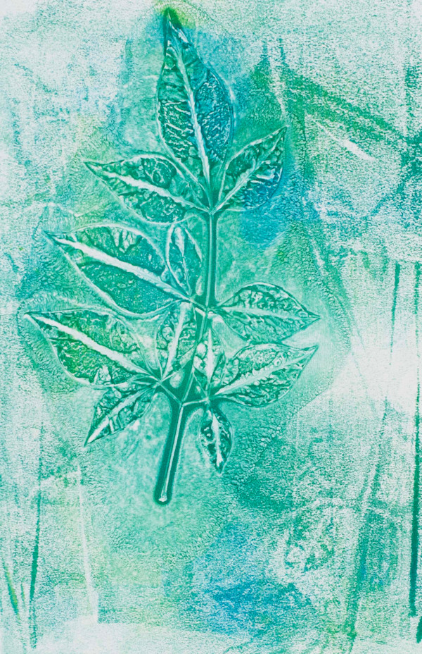 Soft Heavenly Bamboo by Greg Gazzano