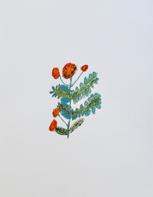 California Poppy by David Coury