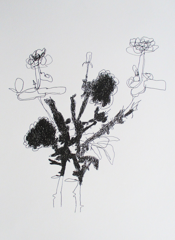 Silhouette Bouquet by Siobhan Cooke