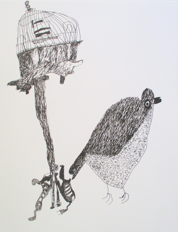 Bird and Cage by Siobhan Cooke