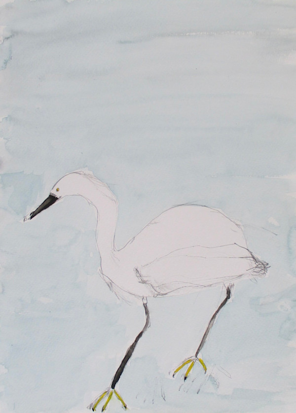 Egret by Robynn Vaughn