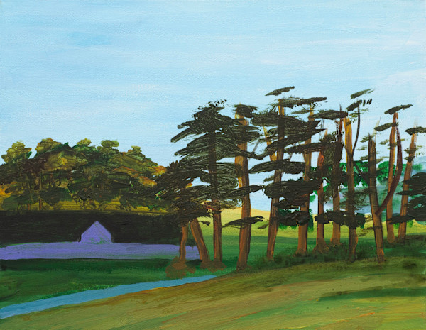 Trees in the Park by Jeff Haines