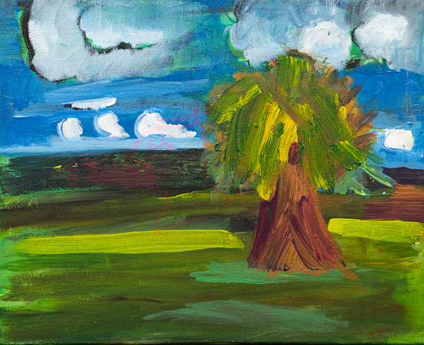 Sunny Day after Rain by Jeff Haines