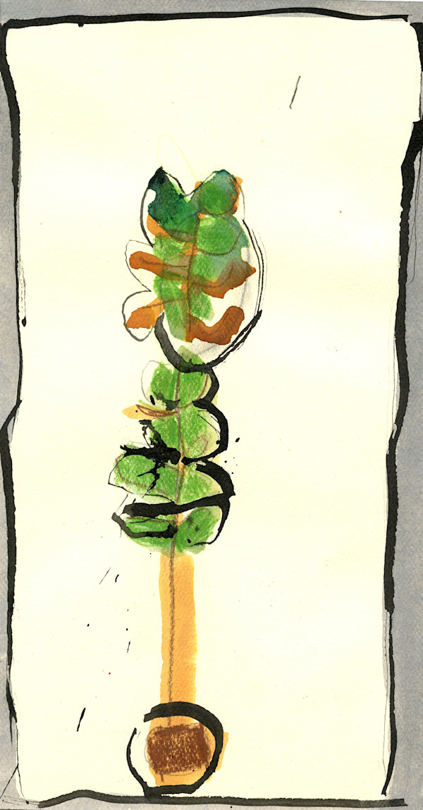 Tall Tree by Jill Goodall