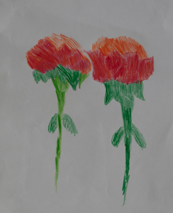 Two Roses by Lorena Lopez