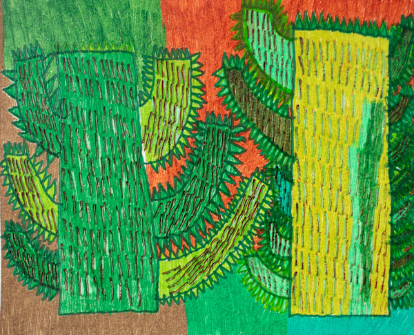 Arizona Cactus #3 by Megan Olsen