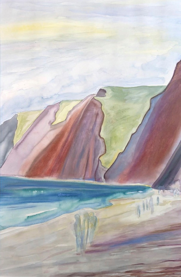 Drakes Beach by Nicole Frazer