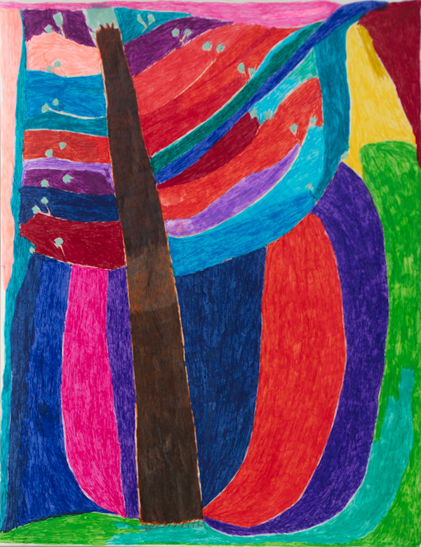 Cedar Tree by Rachel Carlin