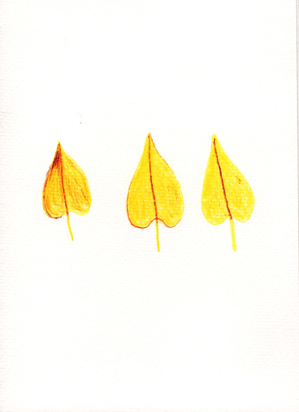 Three Holy Leaves by Reed Feshbach