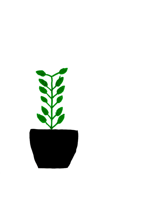 Growing Up by Reed Feshbach