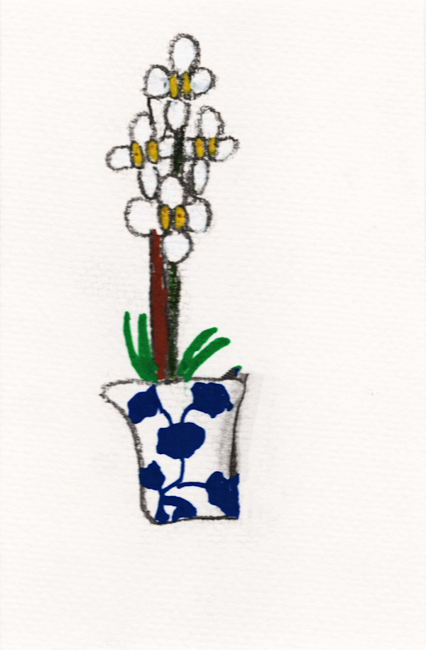 White Orchid by Reed Feshbach