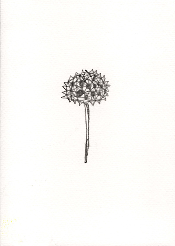 Wish It by Reed Feshbach