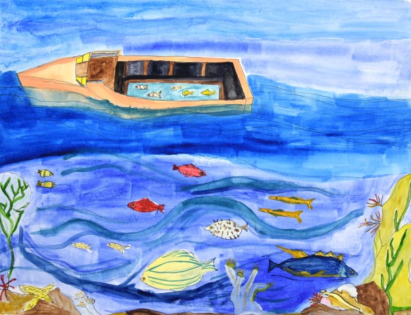 Glass Bottom Boat by Robert Lacey