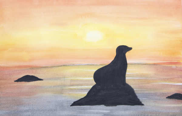 Sunset with Sea Lion by Sheri McSweeney