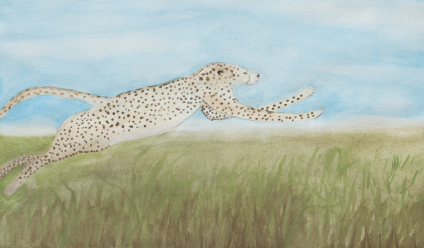 Leaping Cheeta by Sheri McSweeney