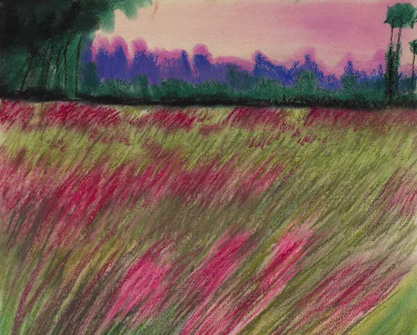 Pink Field by Sheri McSweeney
