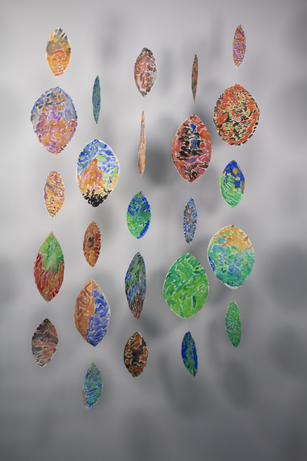 Dapple by Tom Schmidt