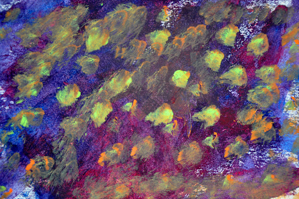 Peacock Tail by Vicki Allen