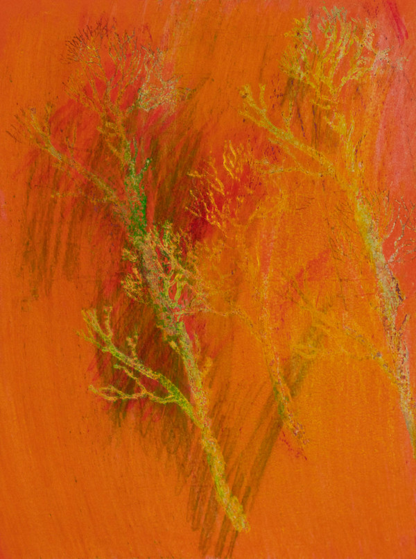 Vibrant Trees #2 by Gina Cataldo