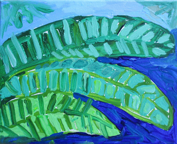 Fern by Amy Ades