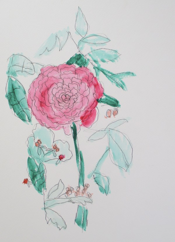 Rose by Emily Hoog