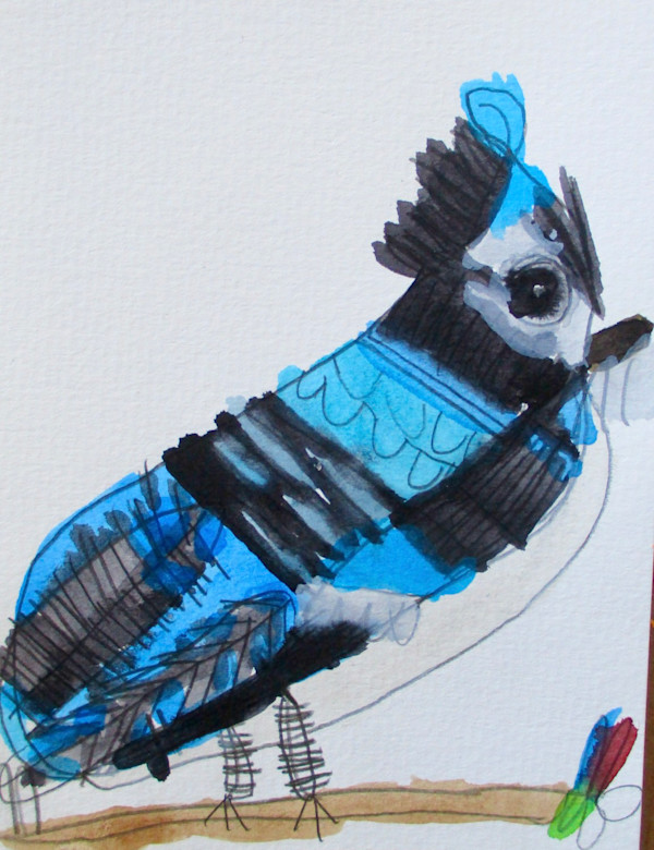 Jay by Jenny Bullock