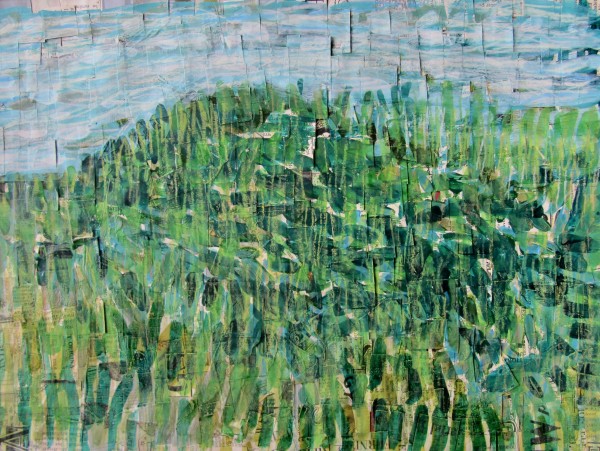 Meadow by John Peterson